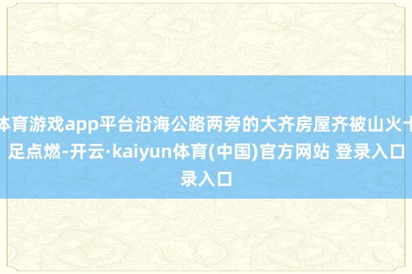 体育游戏app平台沿海公路两旁的大齐房屋齐被山火十足点燃-开云·kaiyun体育(中国)官方网站 登录入口