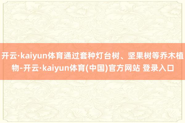 开云·kaiyun体育通过套种灯台树、坚果树等乔木植物-开云·kaiyun体育(中国)官方网站 登录入口